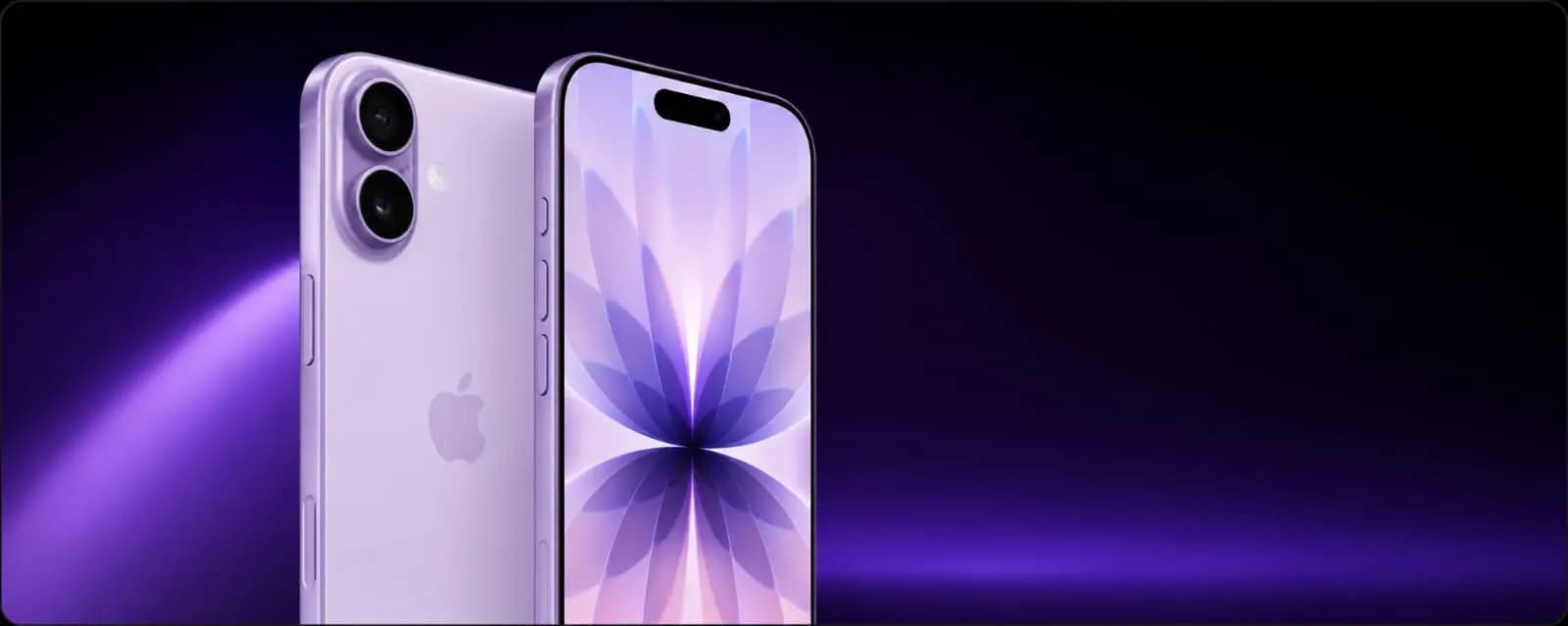 ابل ايفون 17 عادي